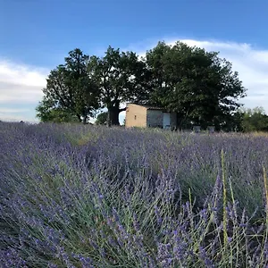 Cabanon Du Berger Saignon